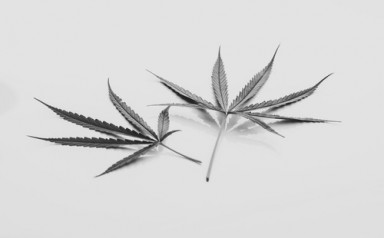 Лечение наркомании в Волчихе